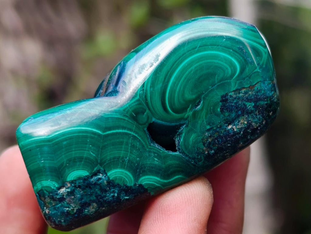 Polished Flower Banded Malachite Free Forms x 12 From Congo - Toprock Gemstones and Minerals 