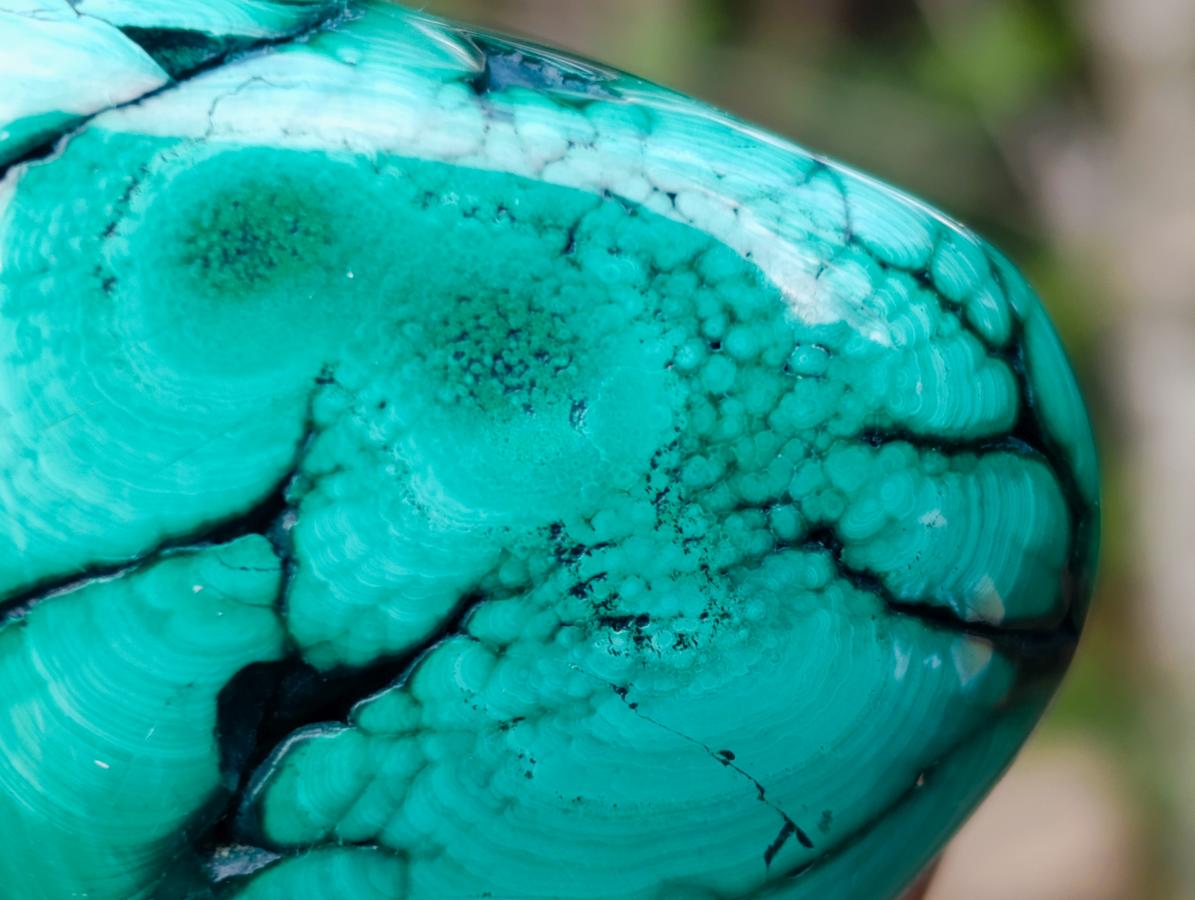 Polished Flower Banded Malachite Free Forms x 12 From Congo - Toprock Gemstones and Minerals 