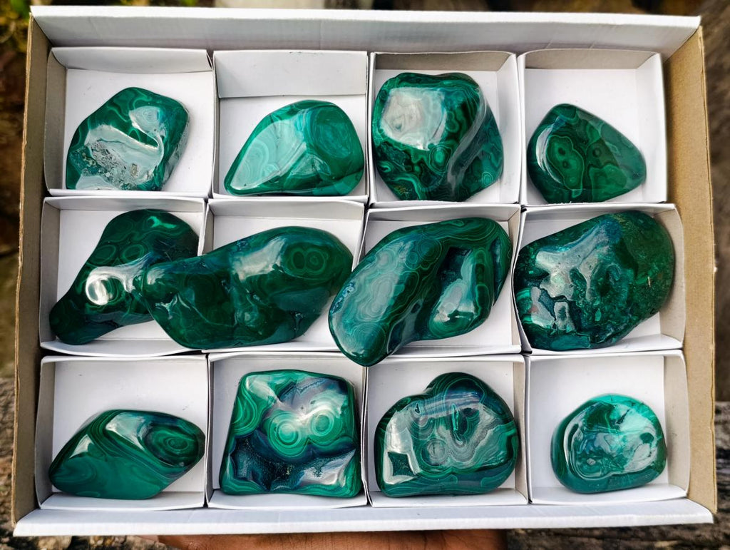 Polished Flower Banded Malachite Free Forms x 12 From Congo - Toprock Gemstones and Minerals 