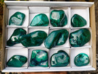 Polished Flower Banded Malachite Free Forms x 12 From Congo - Toprock Gemstones and Minerals 