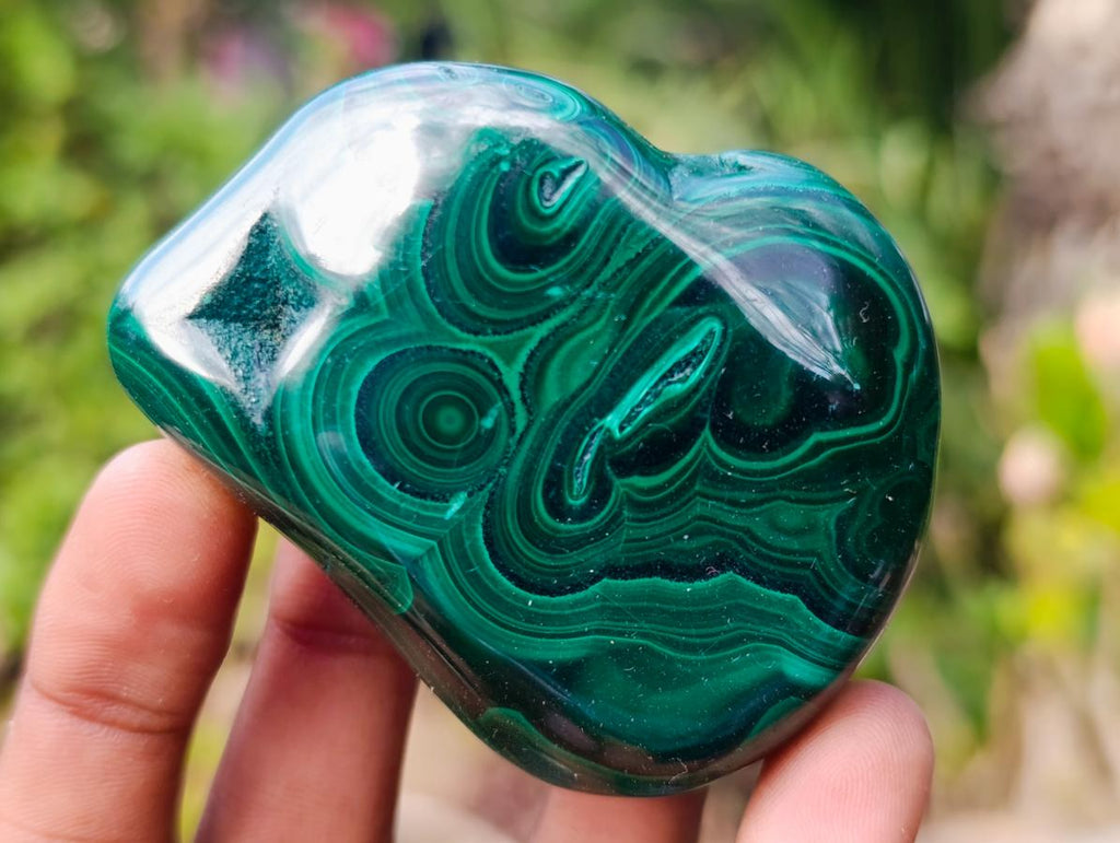 Polished Flower Banded Malachite Free Forms x 12 From Congo - Toprock Gemstones and Minerals 