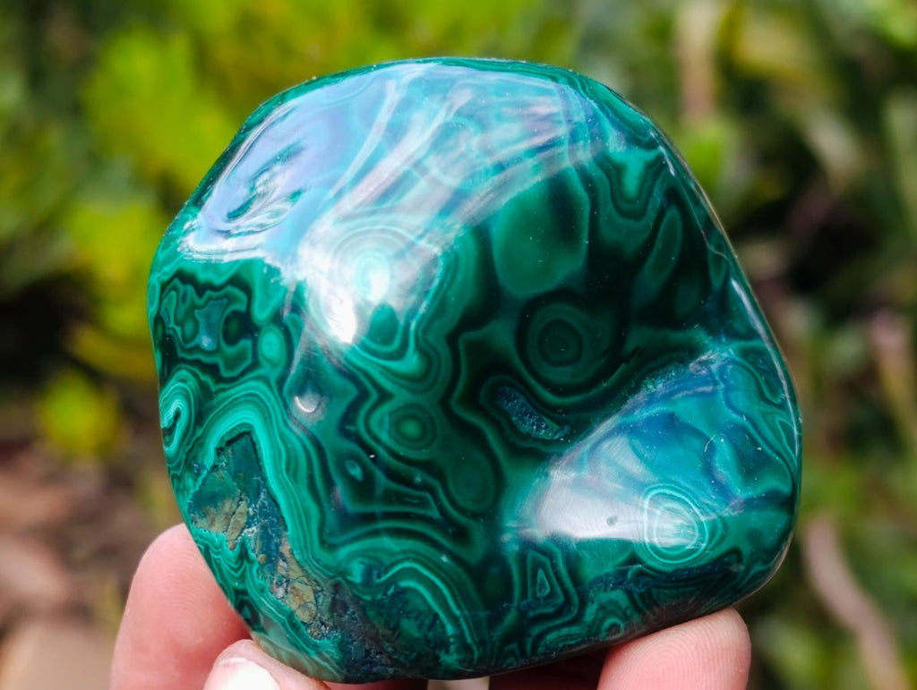 Polished Flower Banded Malachite Free Forms x 12 From Congo - Toprock Gemstones and Minerals 