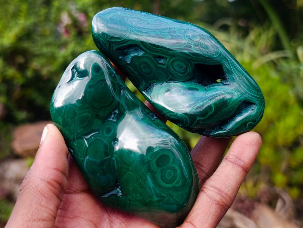 Polished Flower Banded Malachite Free Forms x 12 From Congo - Toprock Gemstones and Minerals 