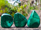 Polished Flower Banded Malachite Free Forms x 12 From Congo - Toprock Gemstones and Minerals 