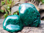 Polished Flower Banded Malachite Free Forms x 12 From Congo - Toprock Gemstones and Minerals 