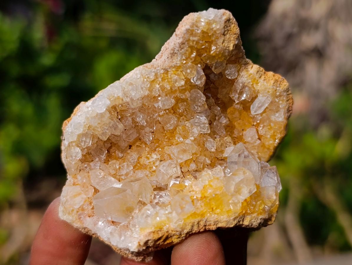 Natural Solwezi Quartz Plate Specimens x 24 From Solwezi, Zambia - Toprock Gemstones and Minerals 