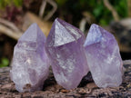 Natural Jacaranda Amethyst Single Crystals x 35 From Mumbwa, Zambia - Toprock Gemstones and Minerals 