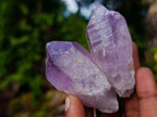 Natural Jacaranda Amethyst Single Crystals x 35 From Mumbwa, Zambia - Toprock Gemstones and Minerals 