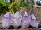 Natural Jacaranda Amethyst Single Crystals x 35 From Mumbwa, Zambia - Toprock Gemstones and Minerals 