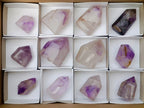 Polished Window Amethyst Crystals x 12 From Akansobe, Madagascar - Toprock Gemstones and Minerals 
