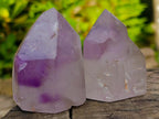 Polished Window Amethyst Crystals x 12 From Akansobe, Madagascar - Toprock Gemstones and Minerals 
