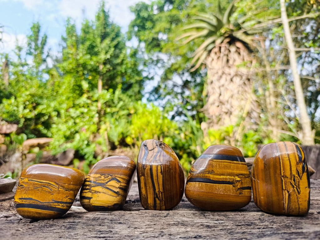Polished Golden Tigers Eye Tumbled Free Forms x 5 From Prieska, South Africa - Toprock Gemstones and Minerals 
