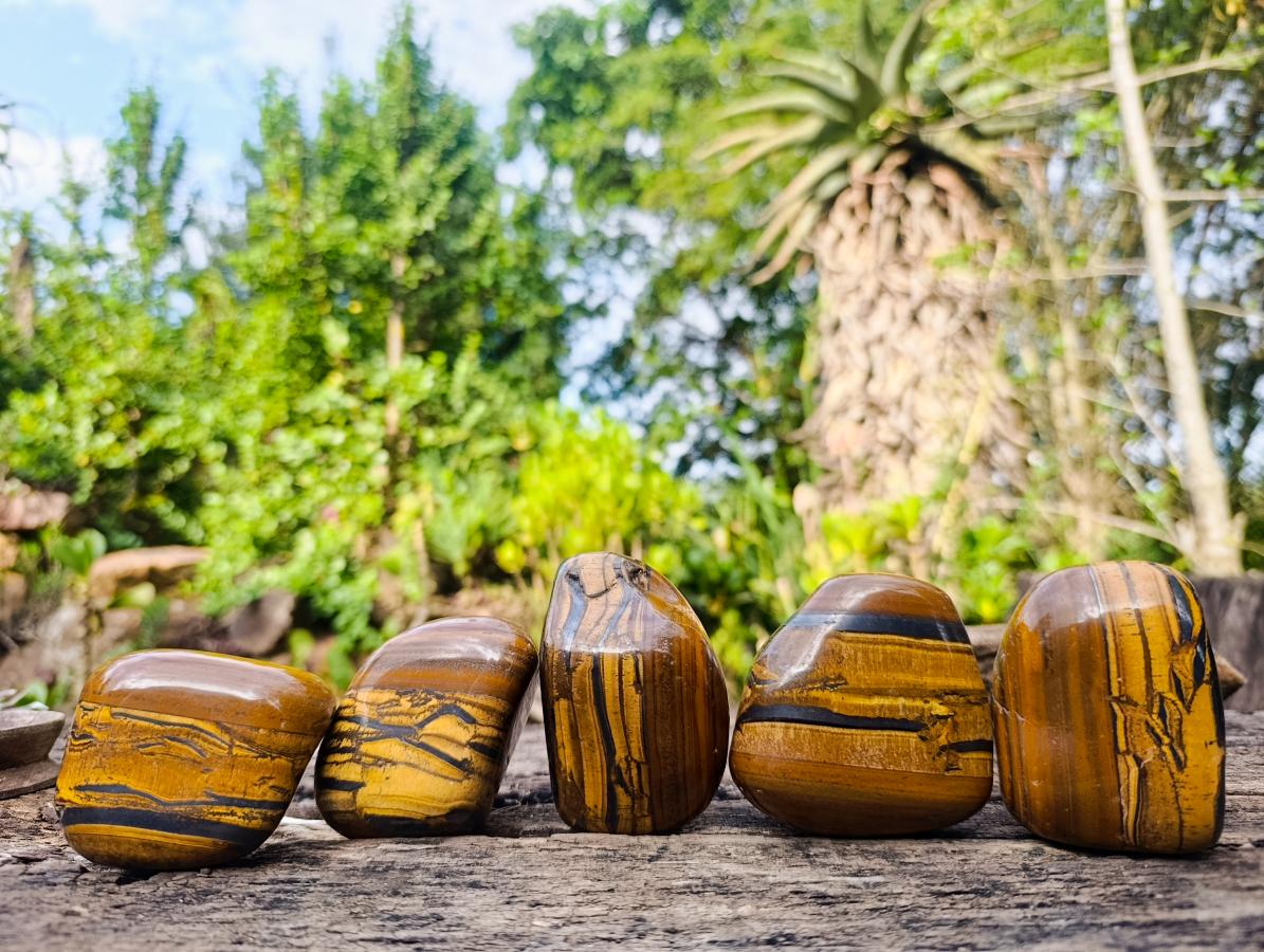 Polished Golden Tigers Eye Tumbled Free Forms x 5 From Prieska, South Africa - Toprock Gemstones and Minerals 