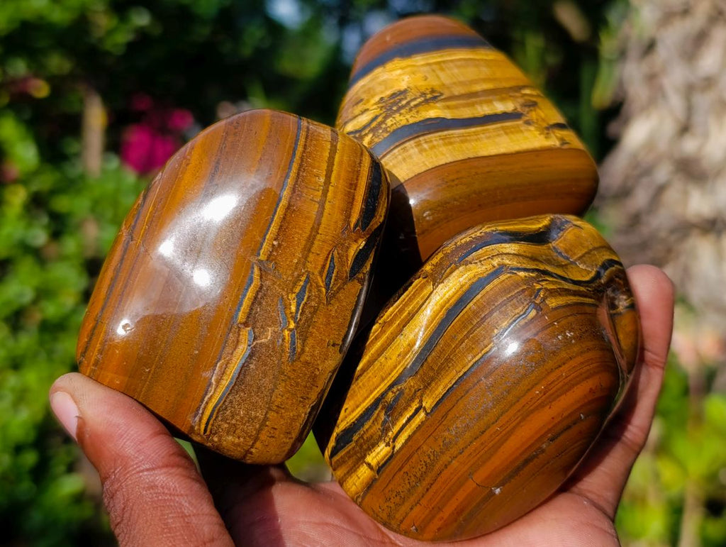 Polished Golden Tigers Eye Tumbled Free Forms x 5 From Prieska, South Africa - Toprock Gemstones and Minerals 