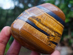 Polished Golden Tigers Eye Tumbled Free Forms x 5 From Prieska, South Africa - Toprock Gemstones and Minerals 