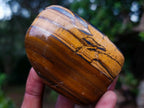 Polished Golden Tigers Eye Tumbled Free Forms x 5 From Prieska, South Africa - Toprock Gemstones and Minerals 