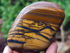 Polished Golden Tigers Eye Tumbled Free Forms x 5 From Prieska, South Africa - Toprock Gemstones and Minerals 