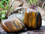 Polished Golden Tigers Eye Tumbled Free Forms x 5 From Prieska, South Africa - Toprock Gemstones and Minerals 
