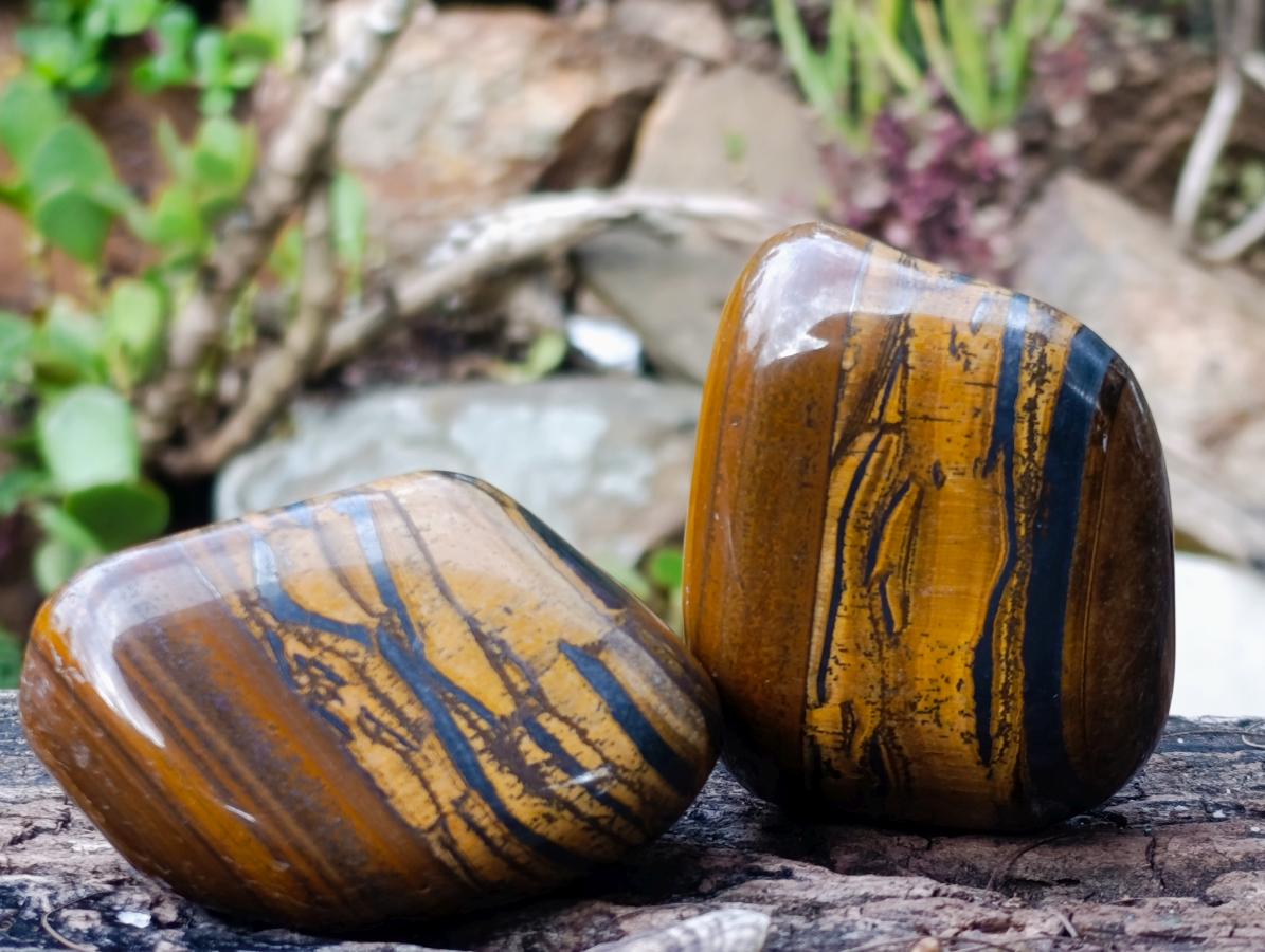 Polished Golden Tigers Eye Tumbled Free Forms x 5 From Prieska, South Africa - Toprock Gemstones and Minerals 