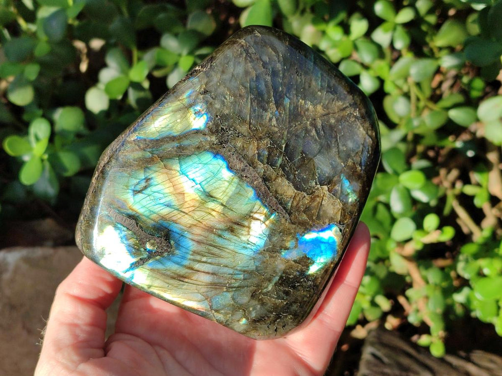 Polished Labradorite Standing Display Pieces x 2 From Madagascar - Toprock Gemstones and Minerals 