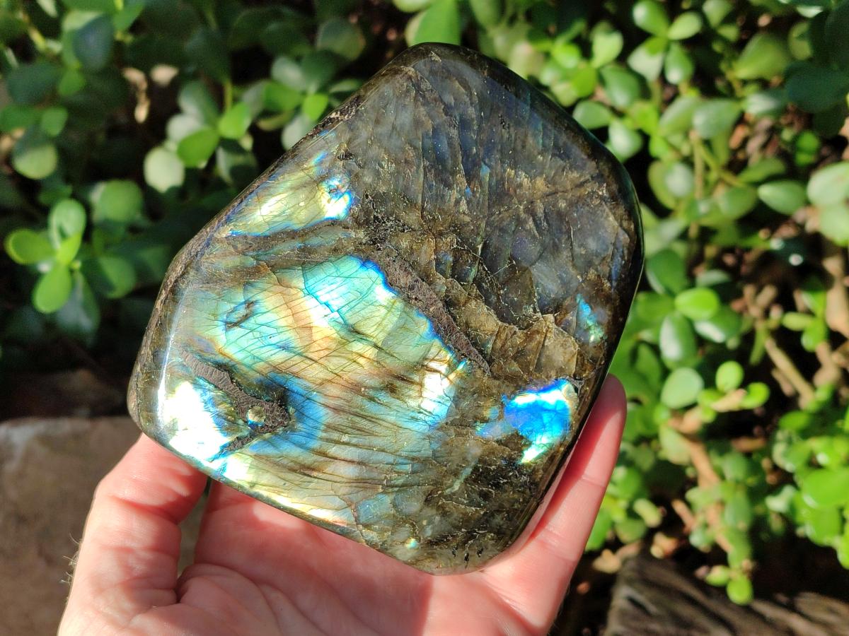 Polished Labradorite Standing Display Pieces x 2 From Madagascar - Toprock Gemstones and Minerals 