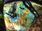 Polished Labradorite Standing Display Pieces x 2 From Madagascar - Toprock Gemstones and Minerals 