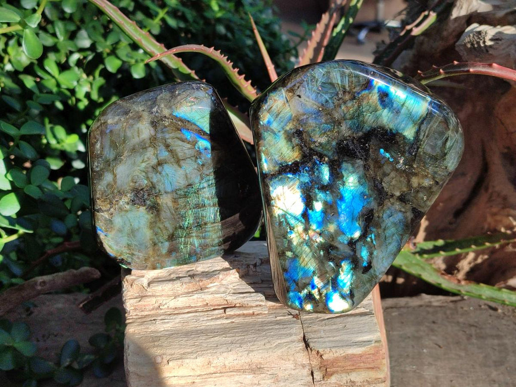 Polished Labradorite Standing Display Pieces x 2 From Madagascar - Toprock Gemstones and Minerals 