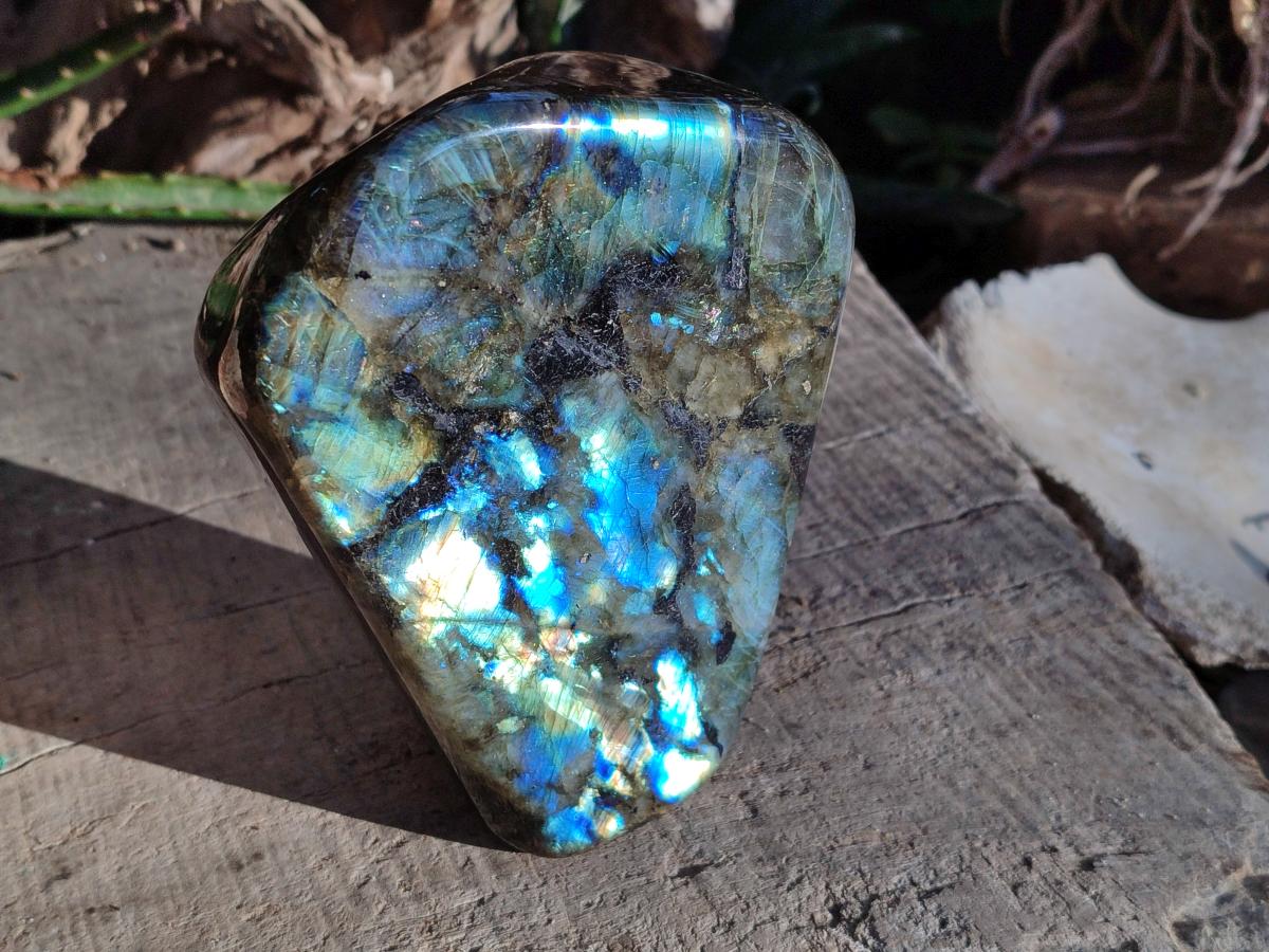 Polished Labradorite Standing Display Pieces x 2 From Madagascar - Toprock Gemstones and Minerals 