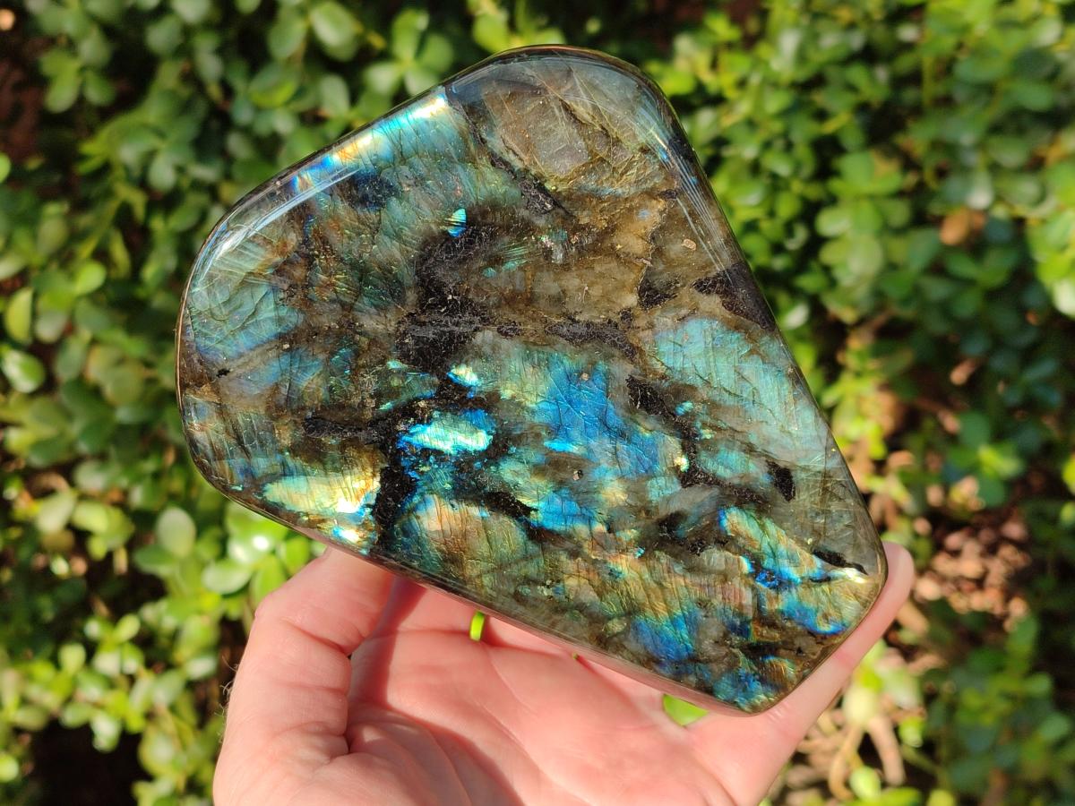 Polished Labradorite Standing Display Pieces x 2 From Madagascar - Toprock Gemstones and Minerals 
