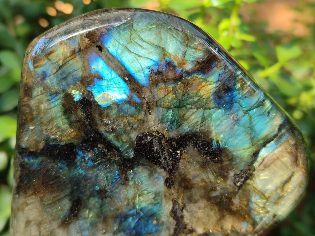 Polished Labradorite Standing Display Pieces x 2 From Madagascar - Toprock Gemstones and Minerals 