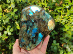 Polished Labradorite Standing Display Pieces x 2 From Madagascar - Toprock Gemstones and Minerals 