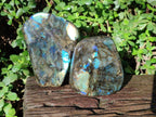Polished Labradorite Standing Display Pieces x 2 From Madagascar - Toprock Gemstones and Minerals 