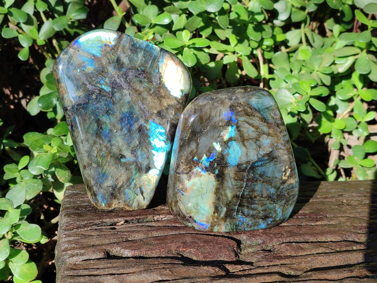 Polished Labradorite Standing Display Pieces x 2 From Madagascar - Toprock Gemstones and Minerals 