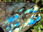 Polished Labradorite Standing Display Pieces x 2 From Madagascar - Toprock Gemstones and Minerals 