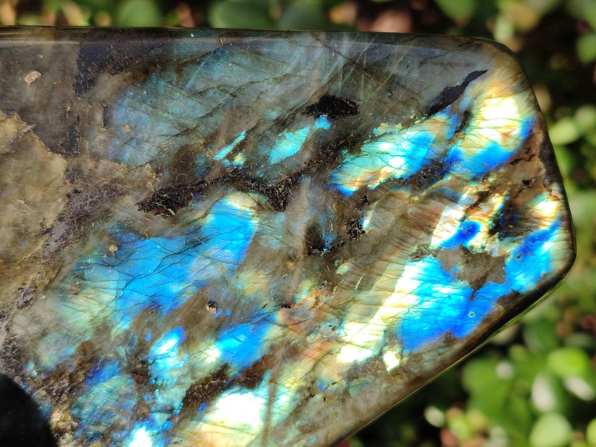Polished Labradorite Standing Display Pieces x 2 From Madagascar - Toprock Gemstones and Minerals 