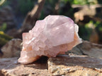Natural Spirit Amethyst Clusters x 12 From Boekenhouthoek, South Africa - Toprock Gemstones and Minerals 
