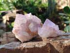 Natural Spirit Amethyst Clusters x 12 From Boekenhouthoek, South Africa - Toprock Gemstones and Minerals 