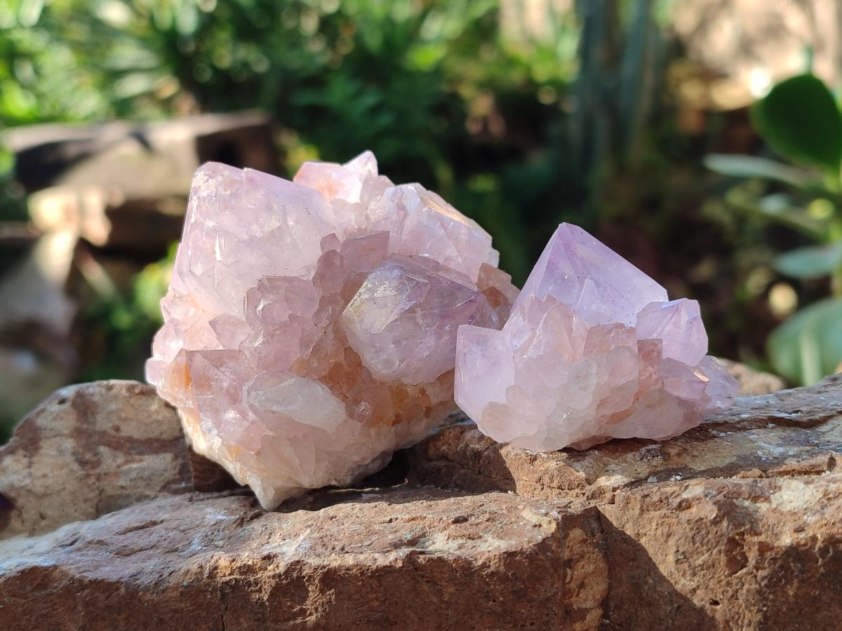 Natural Spirit Amethyst Clusters x 12 From Boekenhouthoek, South Africa - Toprock Gemstones and Minerals 