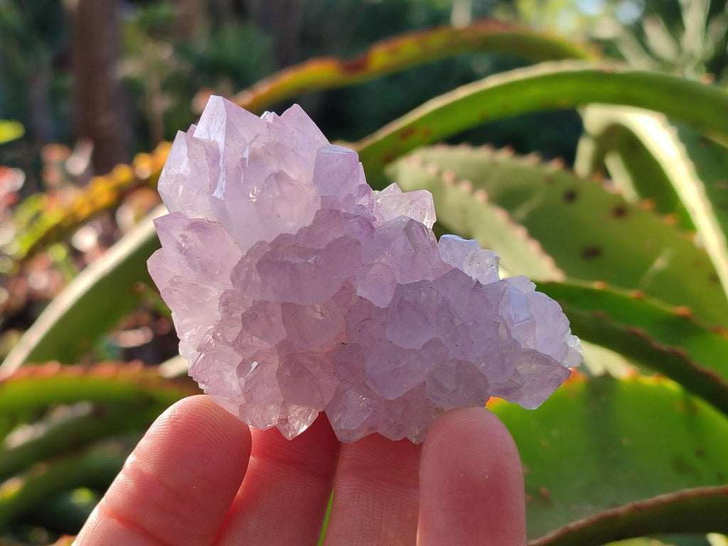 Natural Spirit Amethyst Clusters x 12 From Boekenhouthoek, South Africa - Toprock Gemstones and Minerals 
