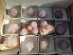Natural Spirit Amethyst Clusters x 12 From Boekenhouthoek, South Africa - Toprock Gemstones and Minerals 