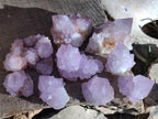 Natural Spirit Amethyst Clusters x 12 From Boekenhouthoek, South Africa - Toprock Gemstones and Minerals 