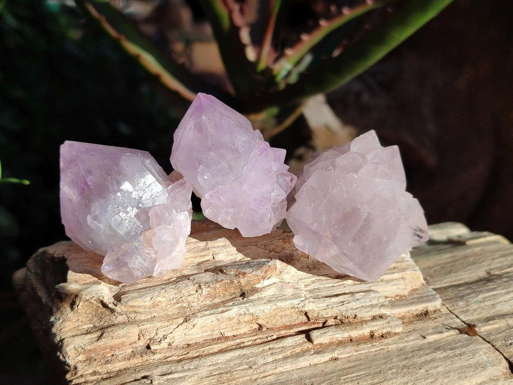 Natural Spirit Amethyst Clusters x 12 From Boekenhouthoek, South Africa - Toprock Gemstones and Minerals 