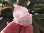 Natural Spirit Amethyst Clusters x 12 From Boekenhouthoek, South Africa - Toprock Gemstones and Minerals 