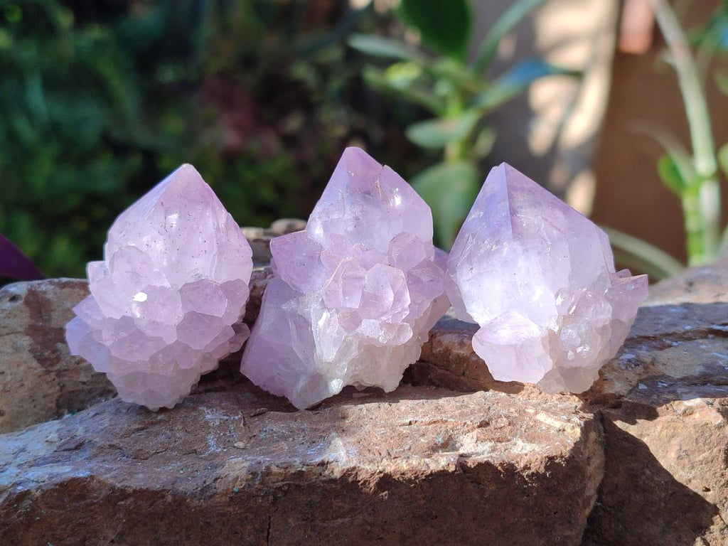 Natural Spirit Amethyst Clusters x 12 From Boekenhouthoek, South Africa - Toprock Gemstones and Minerals 