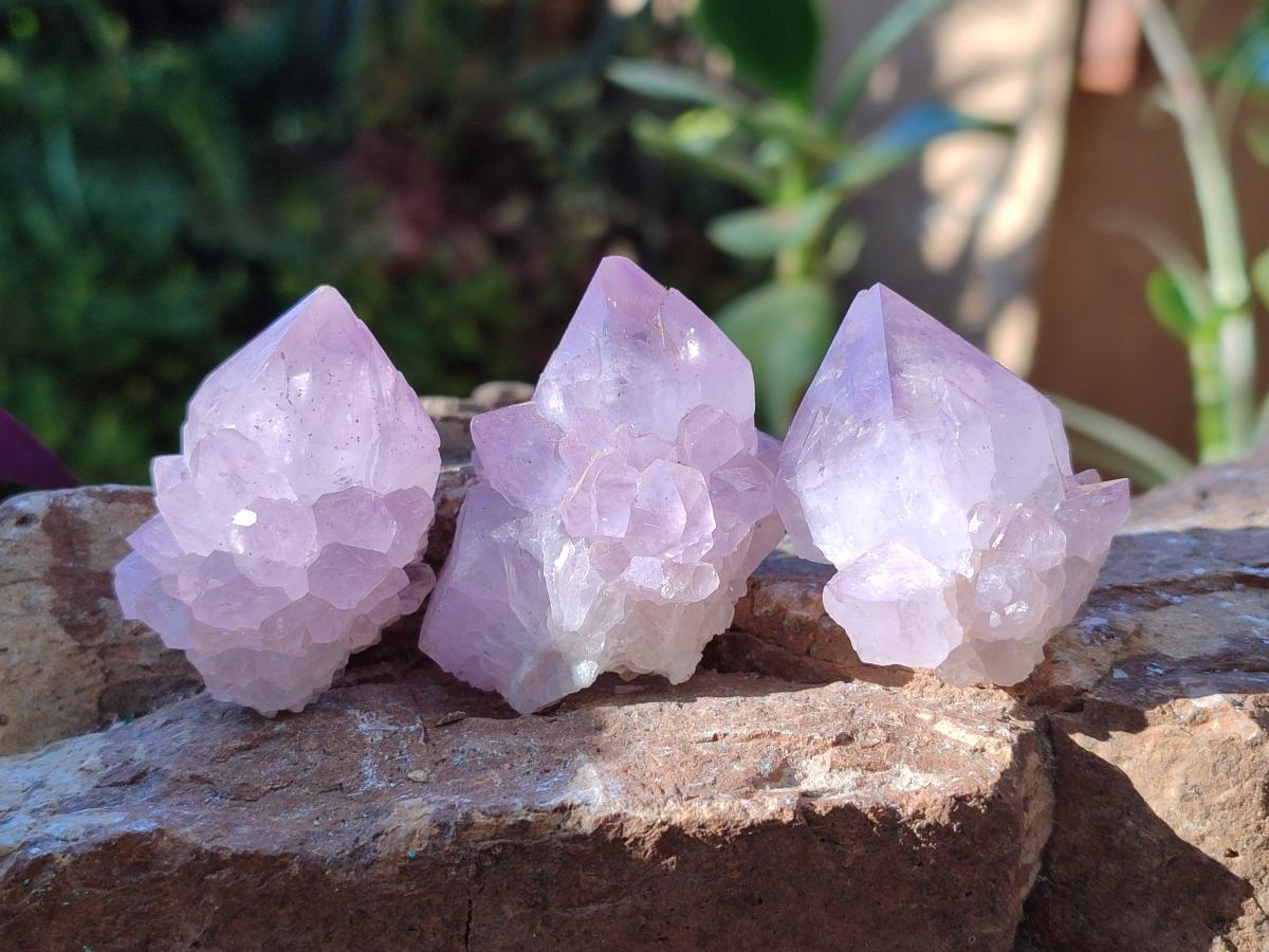 Natural Spirit Amethyst Clusters x 12 From Boekenhouthoek, South Africa - Toprock Gemstones and Minerals 