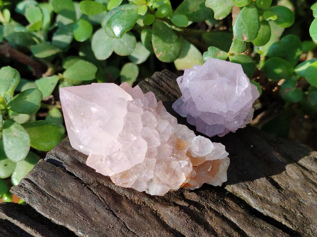 Natural Spirit Amethyst Clusters x 12 From Boekenhouthoek, South Africa - Toprock Gemstones and Minerals 