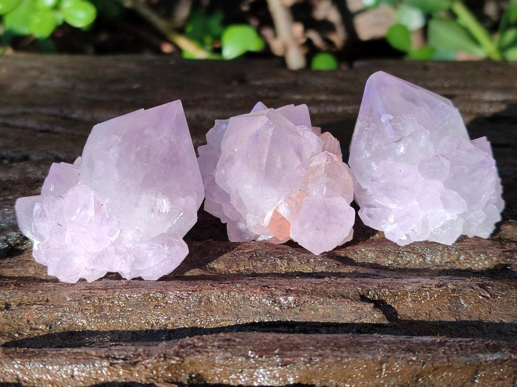 Natural Spirit Amethyst Clusters x 12 From Boekenhouthoek, South Africa - Toprock Gemstones and Minerals 