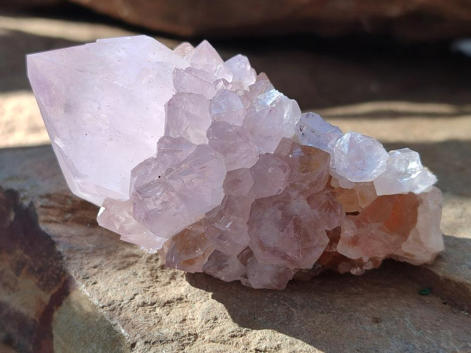 Natural Spirit Amethyst Clusters x 12 From Boekenhouthoek, South Africa - Toprock Gemstones and Minerals 