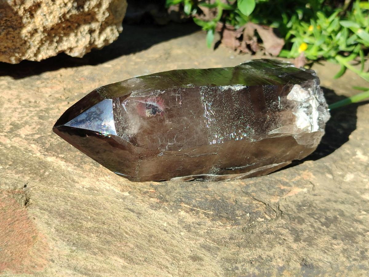 Half Polished Smokey Quartz Floater Crystals x 2 From Mulanje, Malawi - Toprock Gemstones and Minerals 