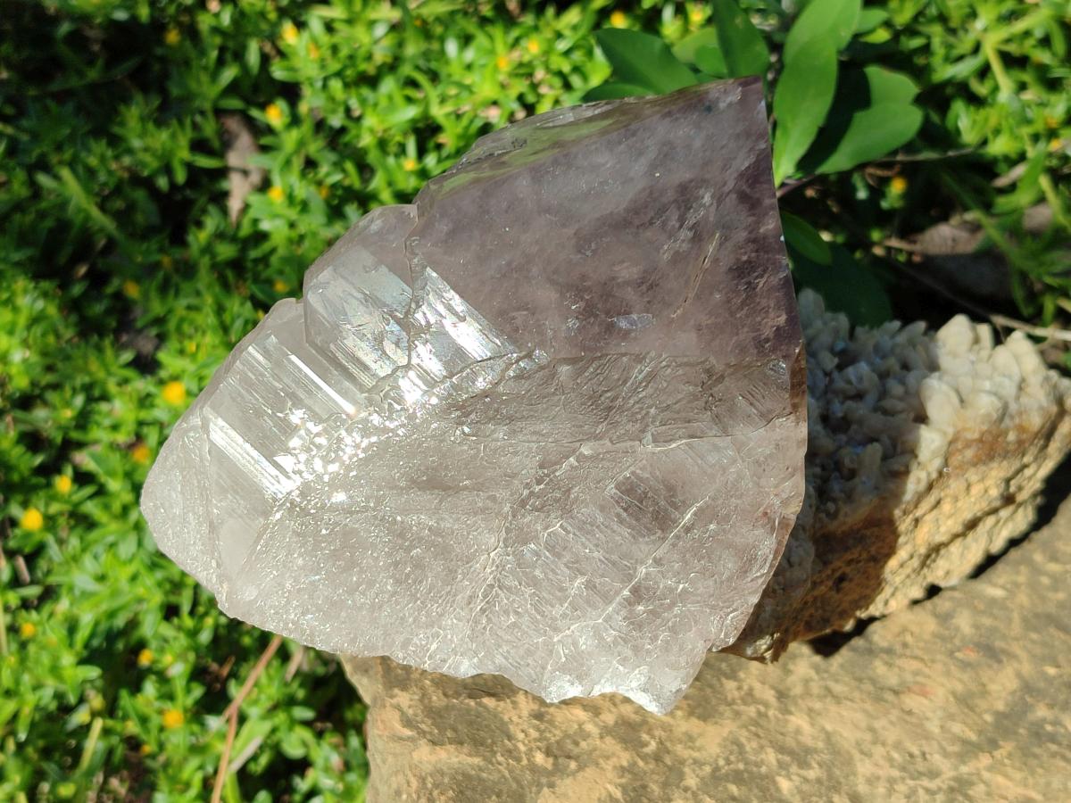 Half Polished Smokey Quartz Floater Crystals x 2 From Mulanje, Malawi - Toprock Gemstones and Minerals 